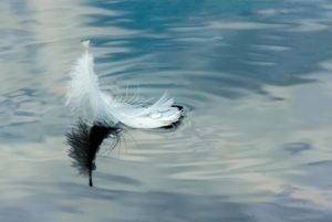 Aqua Energy Healing