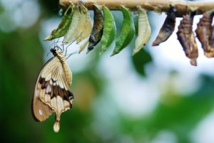 Life, Spiritual Coaching